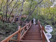 -大岭沟猕猴桃谷风景区