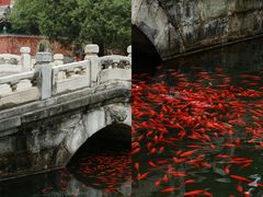 -国家植物园