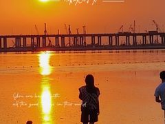 -宝安西湾红树林湿地公园