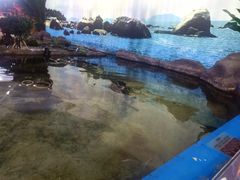 -鸿通城购物中心