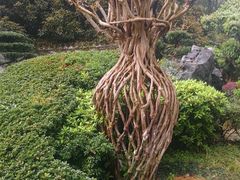 -南山植物园