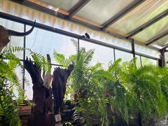 -野蔓果·山野菜(西湖景区·龙井茶田店)