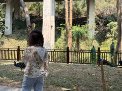 -野象谷景区