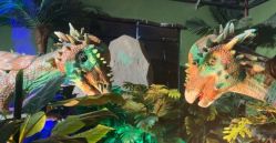 -恐龙探索乐园(磁器口店)