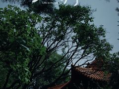 -哈尔滨极乐寺