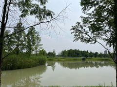 -海宁鹃湖公园