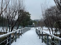 -月湖风景区