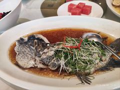 -骏莱海鲜鱼港(五角场店)