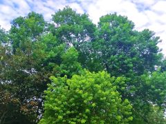 -西山漾湿地公园