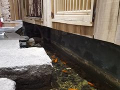 -邈墨茶馆(凤起路店)