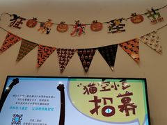 -猫的天空之城概念书店(景德镇陶溪川店)