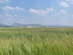 -敕勒川草原