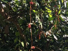 -龙坑生态保护区