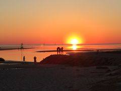 -Cap't Cass Rock Harbor Seafood