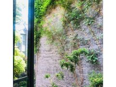 -也枫·小黄楼(南山路旗舰店)