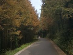-山王坪喀斯特国家生态公园