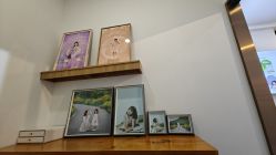 -贝影FACE亲子摄影(宁波区总店)