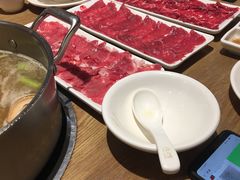 -掂档潮汕牛肉火锅(沈阳万象城店)