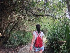 -鹅銮鼻公园