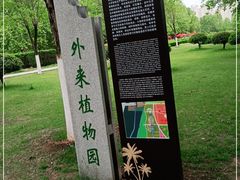-洛阳市隋唐城遗址植物园