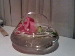 桌上的摆设-老洋房花园饭店(绍兴路店)