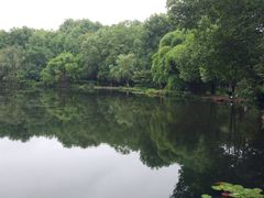 -邓小平故里