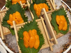 活海胆刺身-田舍家Inakaya(天汇igc店)