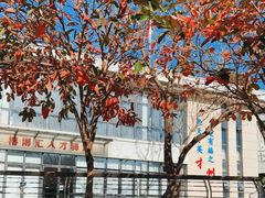 -牛岗山公园