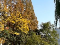 -南通濠河风景名胜区