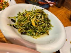 水酸菜炒豆苗-麦麦山云南菜(复地活力城店)