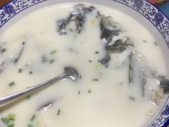 -全乐鱼馆·淳牌有机鱼直营店