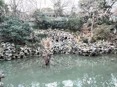 -伯先公园