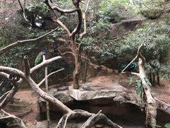 -青青世界
