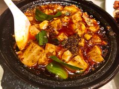 -陈麻婆豆腐总店