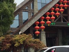 -铁山坪森林公园