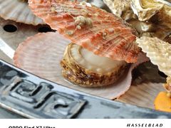 -巧克力渔家.小船海鲜胶东菜(万平口店)