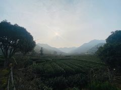 -听风阁农家私房菜茶楼(龙坞店)