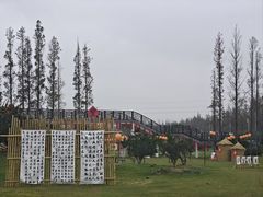 -上海长兴岛郊野公园