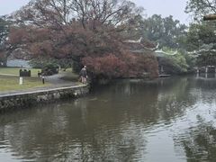 -江心屿景区