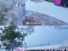 -盈香心动乐园