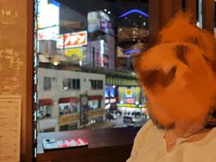 -和牛放题的殿堂 肉屋横丁(秋叶原店)
