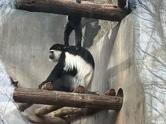 -合肥野生动物园