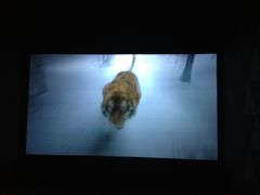 -中影国际影城(九江花园城CINITY LED店)