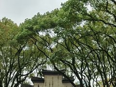 -天一阁博物院