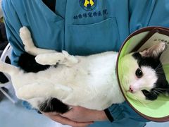 -动物缘宠物医院·骨科·猫科(西二环店)