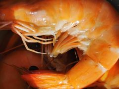 -宾朋海鲜美食特色餐厅·纯手工鲅鱼水饺(兴海路店)