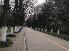 -安徽大学(龙河校区)