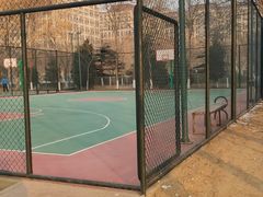 -金星公园
