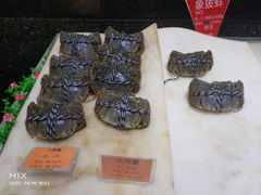-宝燕壹号(徐汇店)