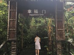 -呀诺达热带雨林